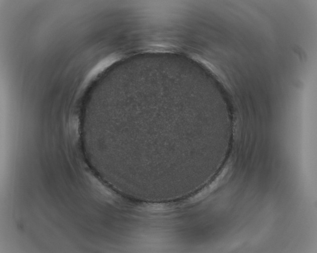 X0000113551402200910091254