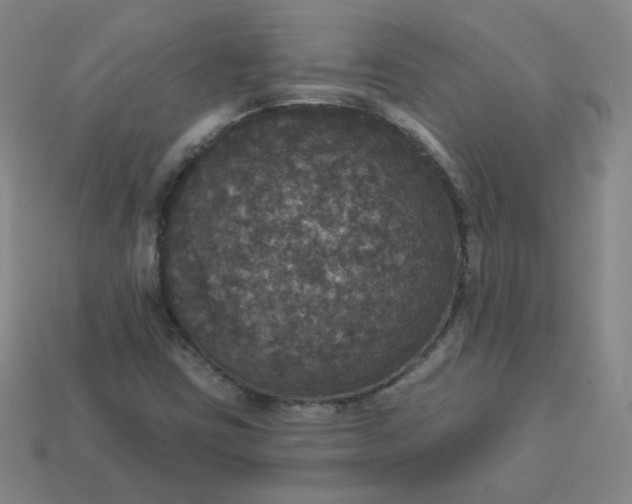 X0000113551403200910091254