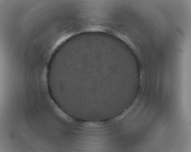 X0000113551404200910091254