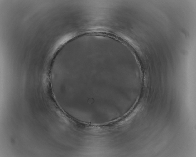 X0000113551405200910091254