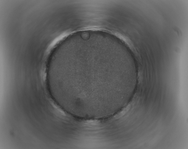 X0000113551406200910091254