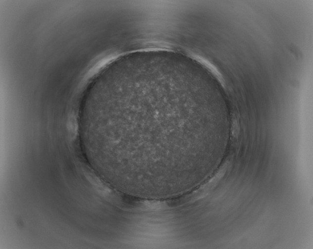 X0000113551407200910091254