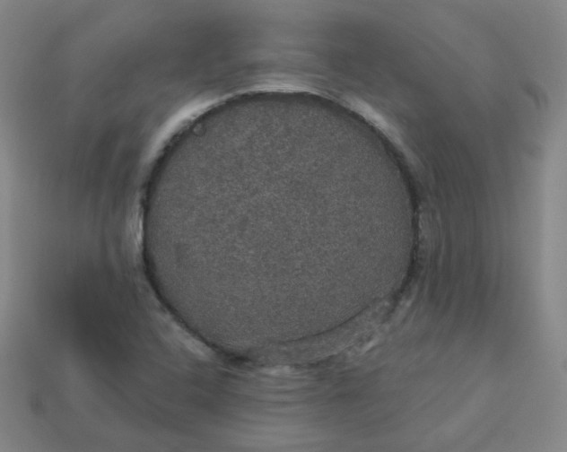 X0000113551408200910091254