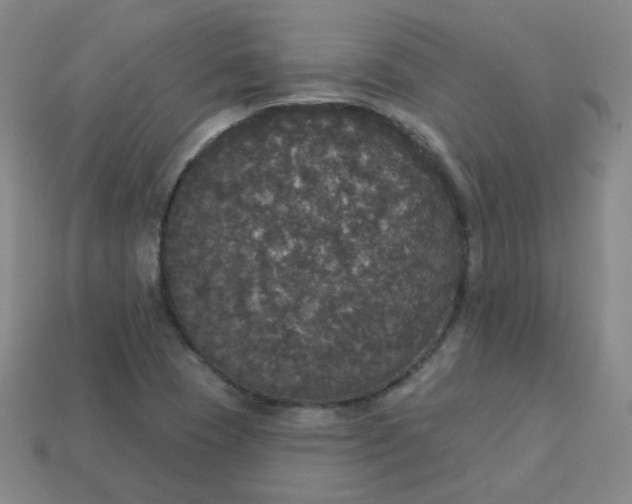 X0000113551409200910091254