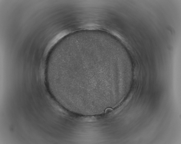 X0000113551410200910091254