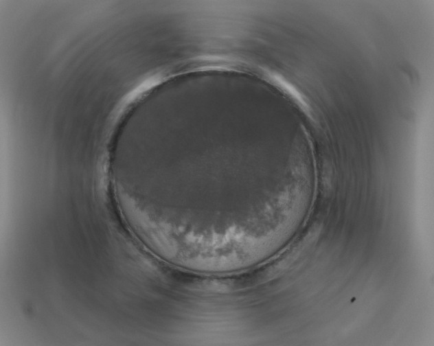 X0000113551411200910091254