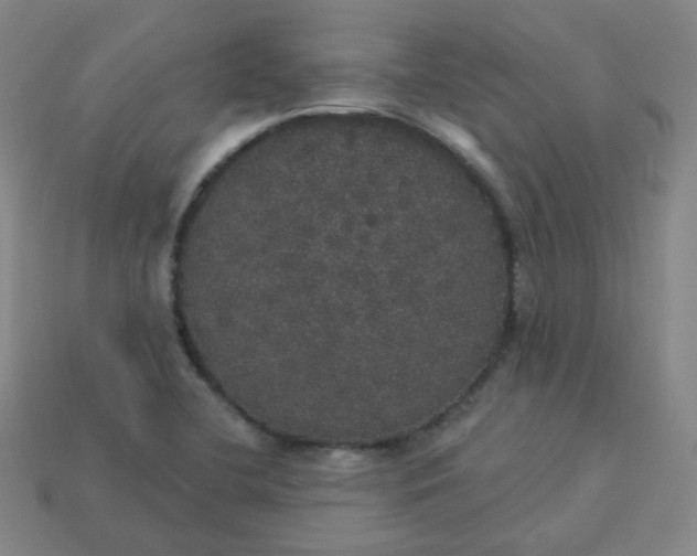 X0000113551412200910091254