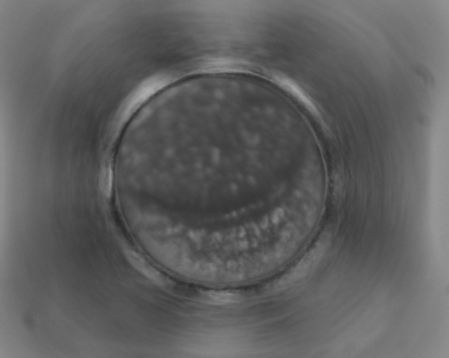 X0000113551413200910091255