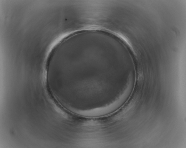 X0000113551414200910091255