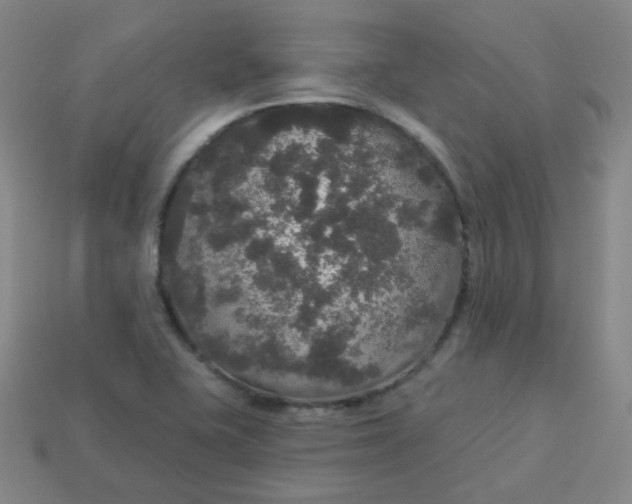 X0000113551415200910091255