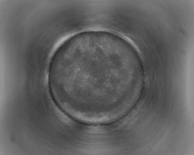 X0000113551416200910091255