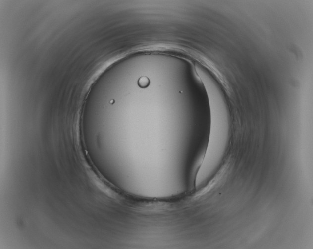 X0000113551417200910091255