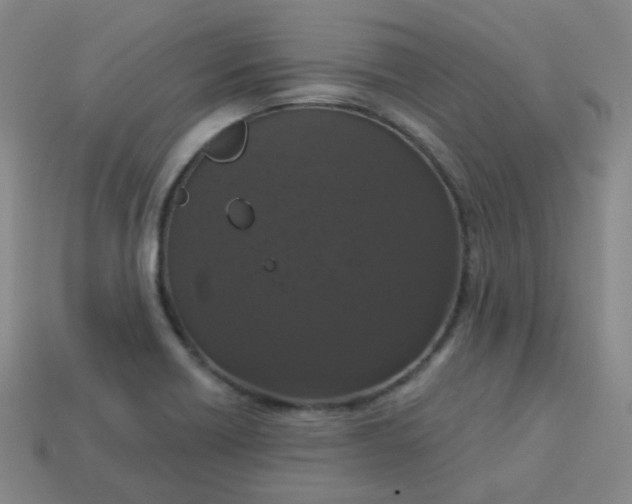 X0000113551418200910091255