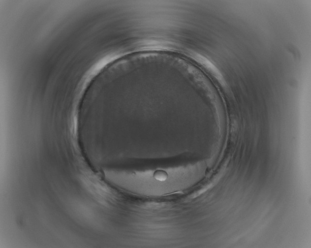 X0000113551419200910091255