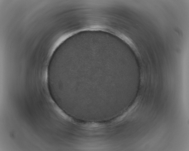 X0000113551420200910091255