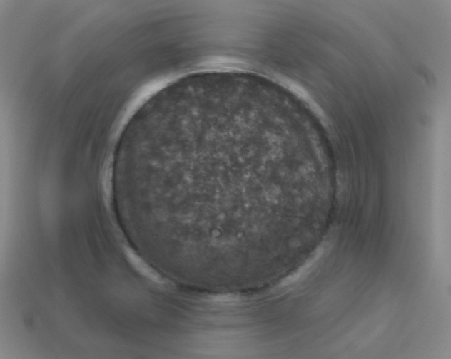 X0000113551421200910091255