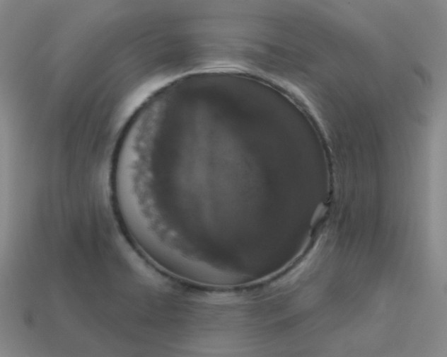 X0000113551422200910091255