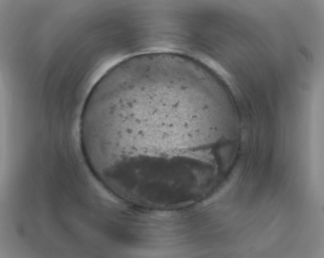 X0000113551423200910091255