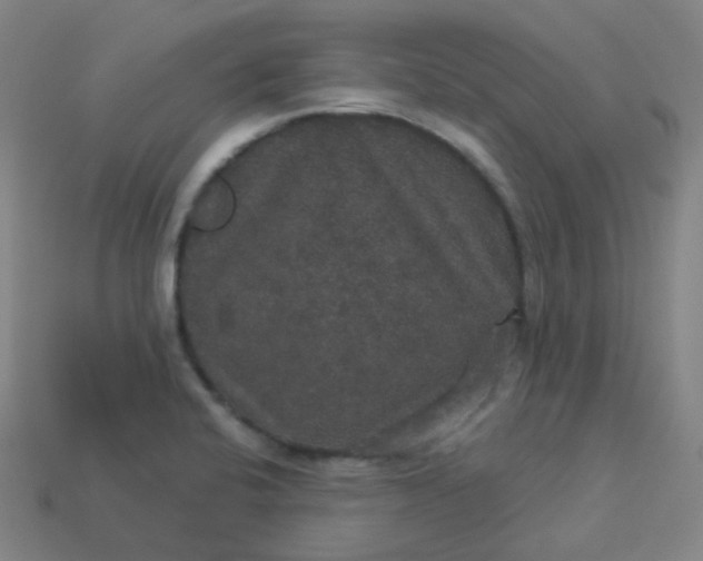 X0000113551424200910091255