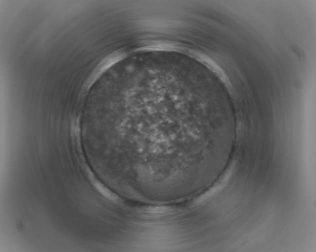 X0000113551425200910091255