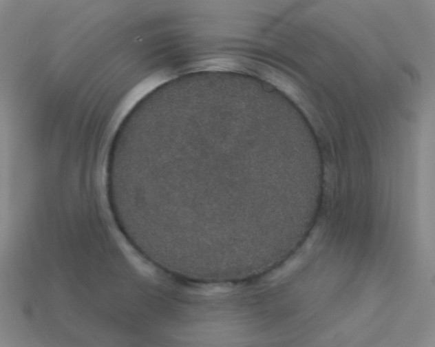 X0000113551426200910091255