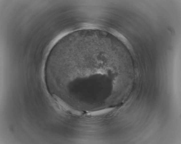 X0000113551427200910091255