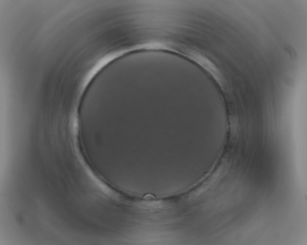 X0000113551428200910091255