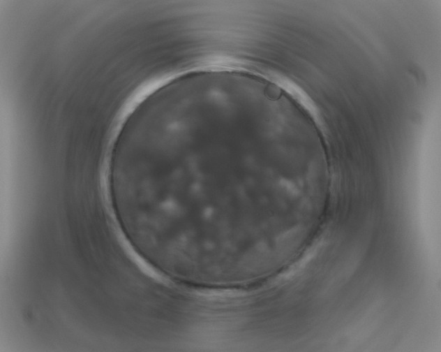 X0000113551429200910091255