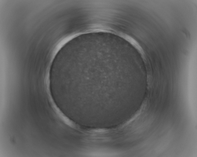 X0000113551431200910091255