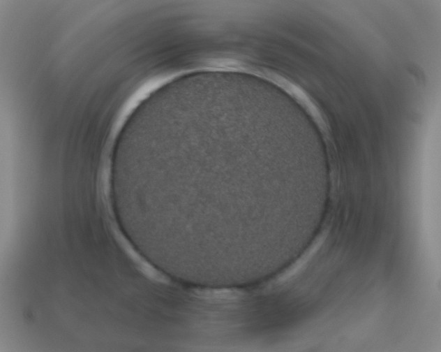 X0000113551432200910091255