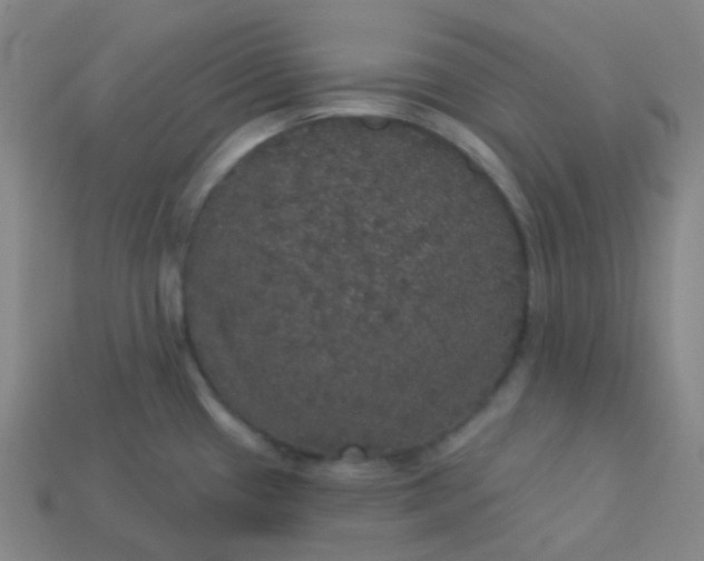 X0000113551433200910091255