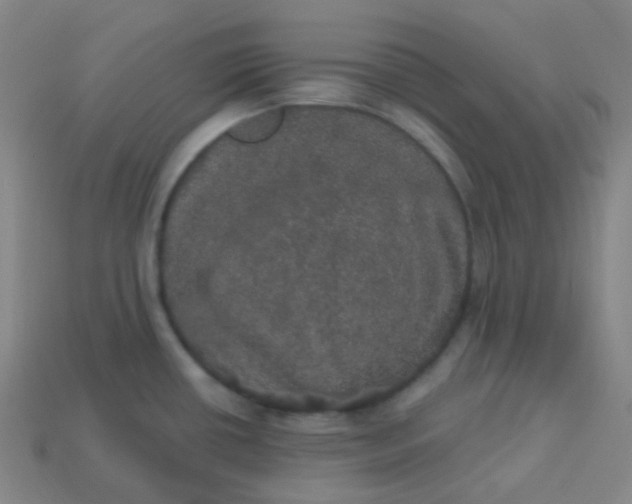 X0000113551434200910091255