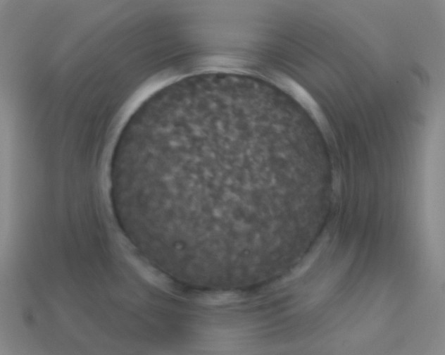 X0000113551435200910091255