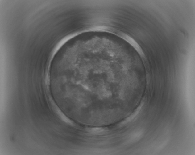 X0000113551436200910091255