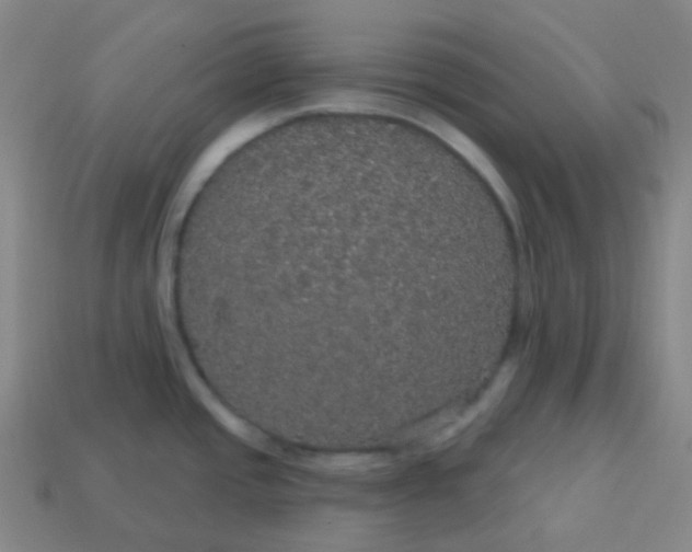 X0000113551437200910091255