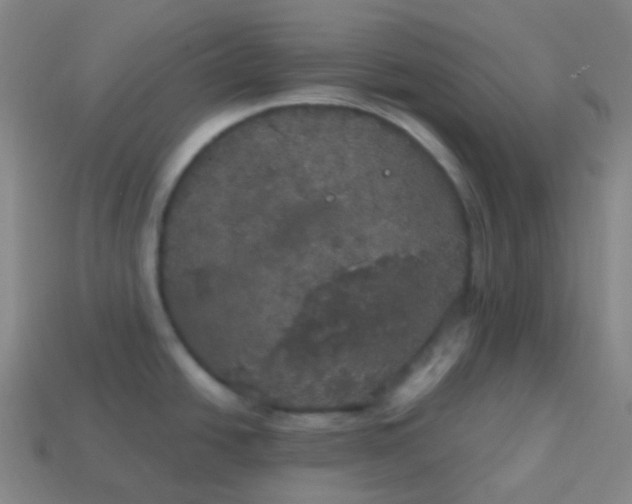 X0000113551438200910091255