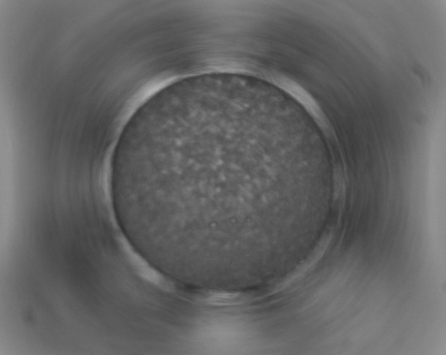 X0000113551439200910091255