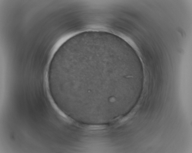 X0000113551440200910091255