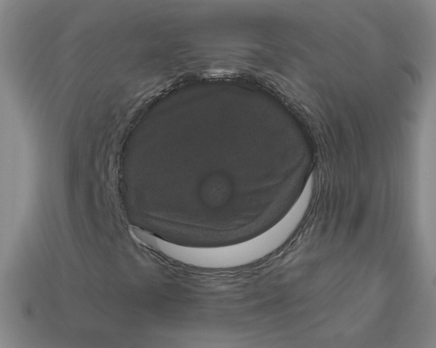 X0000113551441200910091254