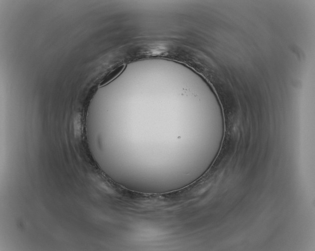 X0000113551442200910091254