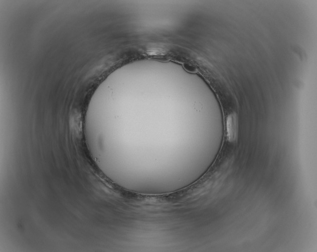 X0000113551443200910091254