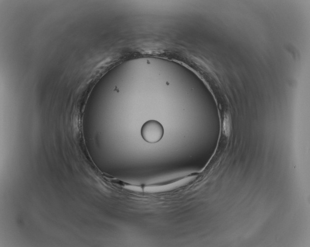 X0000113551444200910091254