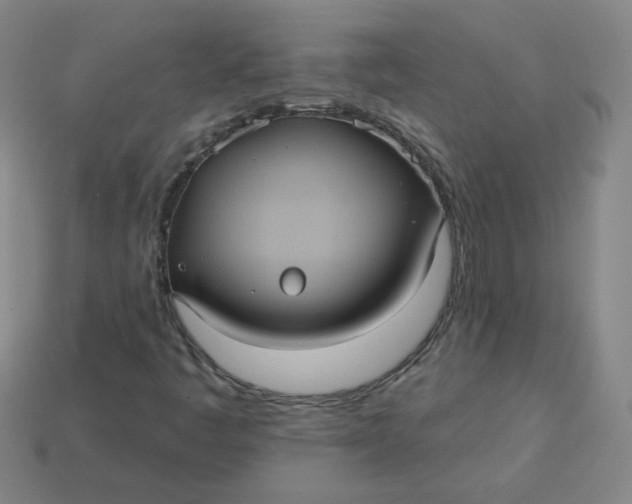 X0000113551445200910091254