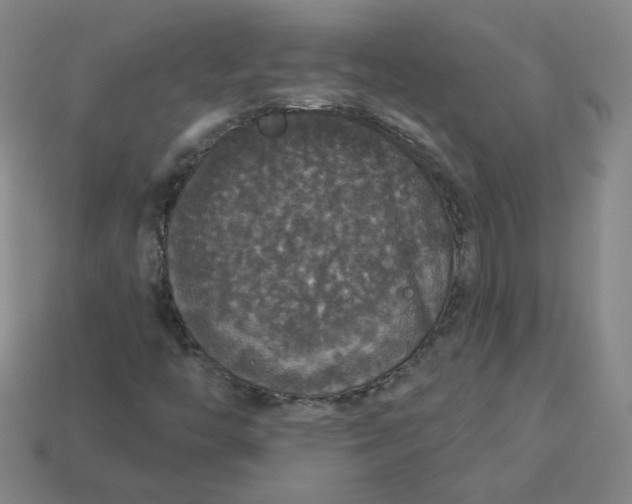 X0000113551446200910091254