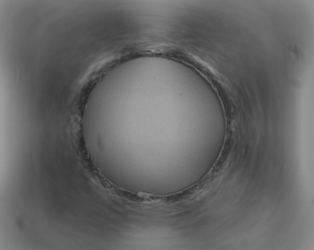 X0000113551447200910091254