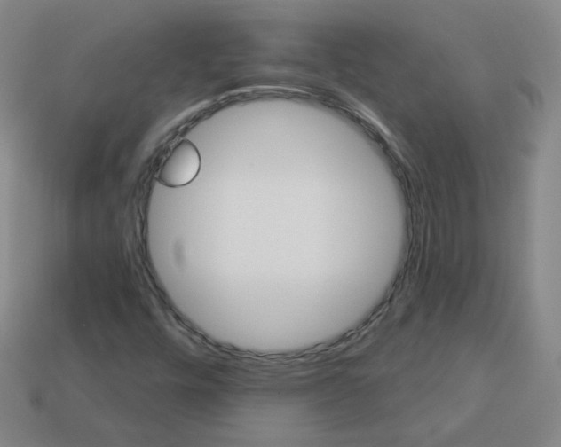 X0000113551448200910091254