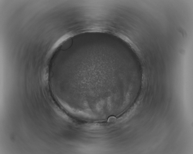 X0000113551450200910091254