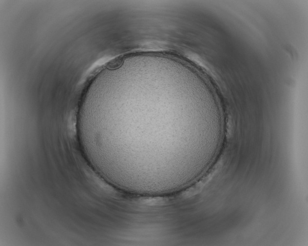 X0000113551451200910091254