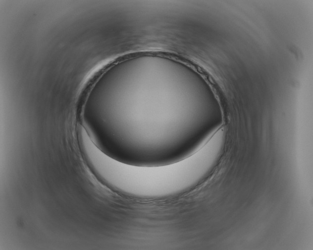 X0000113551452200910091254