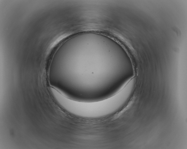 X0000113551453200910091254